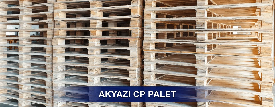 Akyazı Standart Tipler