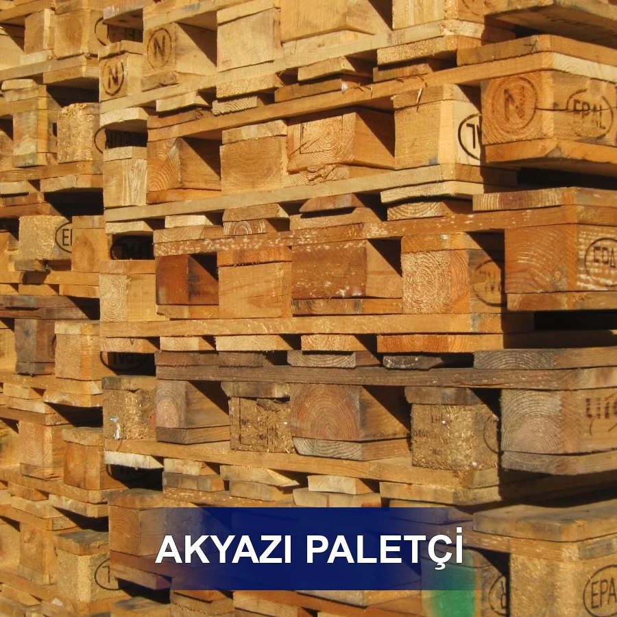 Akyazı Paletçi
